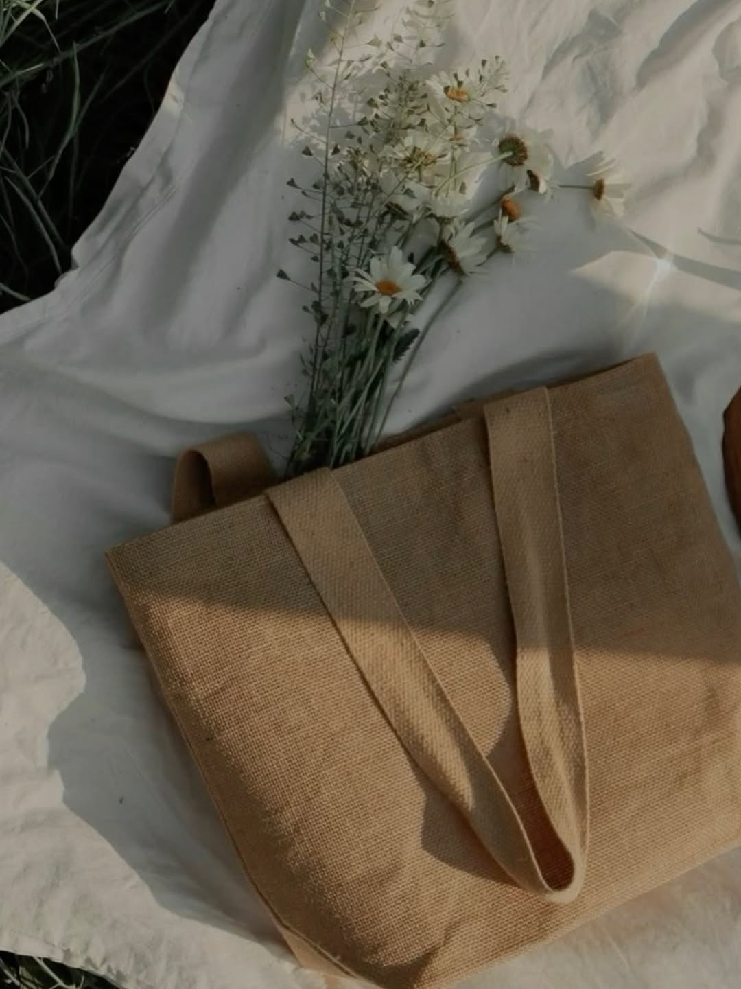 Streetwear Evolution: Comfort, Refined.